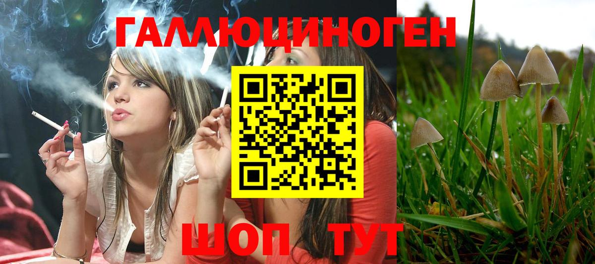 Десногорск  Галлюциногенные грибы мицелий  Галлюциногенные грибы Magic Shrooms  Вход с VPN 