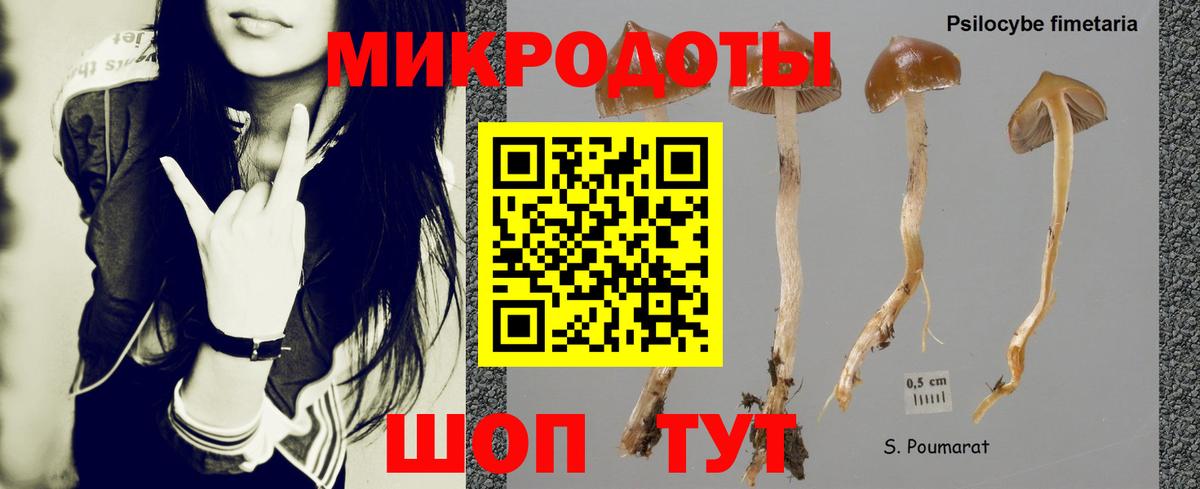 Псилоцибиновые грибы мухоморы Десногорск